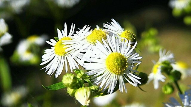 Csodálatos természet 21